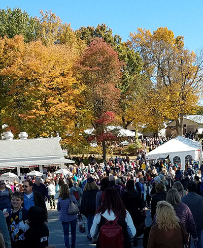 Crowd at Rhinebeck Sheep and Wool Festival